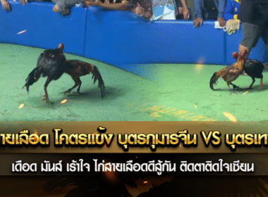 ศึกวัดสายเลือด โคตรแข้ง บุตรกุมารจีน vs บุตรเทพทันใจ