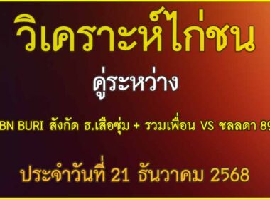 วิเคราะห์ไก่ชน คู่ระหว่าง BN BURI สังกัด ธ.เสือซุ่ม + รวมเพื่อน VS ชลลดา 89 ประจำวันที่ 21 ธันวาคม 2568