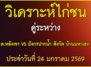 วิเคราะห์ไก่ชน คู่ระหว่าง ต.หลังเขา VS มังกรปากน้ำ สังกัด บ้านมหาเฮง  ประจำวันที่ 24 มกราคม 2569