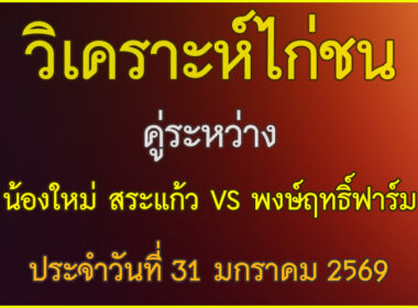 วิเคราะห์ไก่ชน คู่ระหว่าง น้องใหม่ สระแก้ว VS พงษฤทธิ์ฟาร์ม ประจำวันที่ 31 มกราคม 2569
