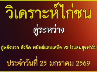 วิเคราะห์ไก่ชน คู่ระหว่าง ภู่พลังบวก สังกัด พยัคฆ์แดนเหนือ VS ไร่แสนสุขฟาร์ม ประจำวันที่ 25 มกราคม 2569