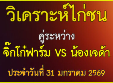 วิเคราะห์ไก่ชน คู่ระหว่าง จิ๊กโก๋ฟาร์ม VS น้องเจด้า ประจำวันที่ 31 มกราคม 2569