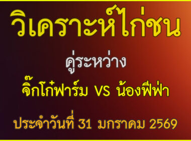 วิเคราะห์ไก่ชน คู่ระหว่าง จิ๊กโก๋ฟาร์ม VS น้องฟีฟ่า ประจำวันที่ 31 มกราคม 2569