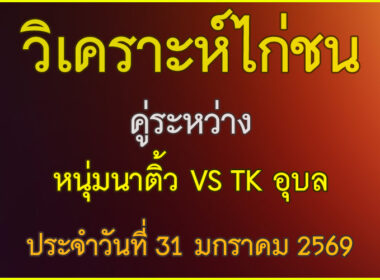 วิเคราะห์ไก่ชน คู่ระหว่าง หนุ่มนาติ้ว VS TK อุบล ประจำวันที่ 31 มกราคม 2569