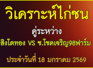 วิเคราะห์ไก่ชน คู่ระหว่าง   สิงโตทอง VS   ช.โชคเจริญ98ฟาร์ม ประจำวันที่ 18 มกราคม 2569