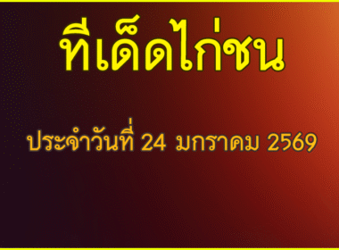 ทีเด็ด ไก่ชน วันเสาร์ที่ 24 มกราคม 2569