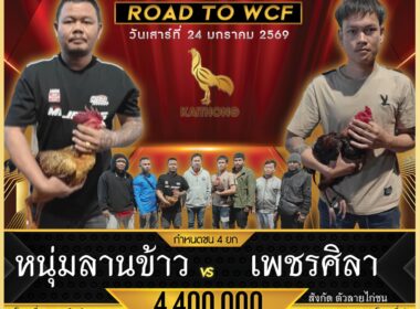 หนุ่มลานข้าว 🆚 เพชรศิลา