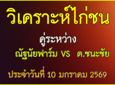 วิเคราะห์ไก่ชน คู่ระหว่าง  ณัฐนัยฟาร์ม  VS  ต.ชนะชัย ประจำวันที่ 10 มกราคม 2569