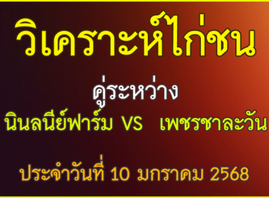 วิเคราะห์ไก่ชน คู่ระหว่าง นินลนีย์ฟาร์ม VS  เพชรชาละวัน  ประจำวันที่ 10 มกราคม 2569