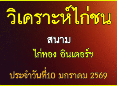 ณ สนามไก่ชน ไก่ทองอินเตอร์ ประจำวันที่ 10 มกราคม 2569