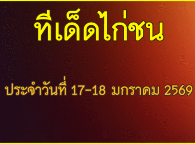 ทีเด็ด ไก่ชน วันเสาร์-อาทิต์ที่ 17-18 มกราคม 2569