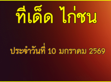 ทีเด็ด ไก่ชน วันเสาร์ที่ 10 มกราคม  2569