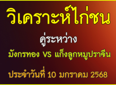 วิเคราะห์ไก่ชน คู่ระหว่าง  มังกรทอง สังกัดก.เพชรไพรี VS แก็งลูกหมูปราจีน สังกัด  น้องเจด้า ประจำวันที่ 10 มกราคม 2569