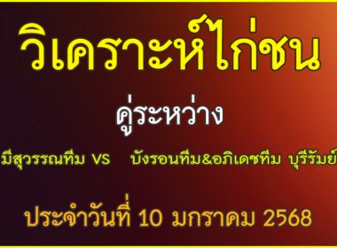 วิเคราะห์ไก่ชน คู่ระหว่าง  มีสุวรรณทีม VS  บังรอนทีม & อภิเดชทีม บุรีรัมย์ ประจำวันที่ 10 มกราคม 2569