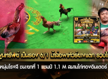 เจ้าเทาพูนทรัพย์ เป็นรอง6/1 ม้าล่อพาทัวร์ยางแตก รวบไม่จมอัน