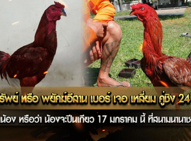 เทายึดทรัพย์ หรือ พยัคฆ์อีสาน เบอร์ เจอ เหลี่ยม คู่ชิง 24 ล้านบาท