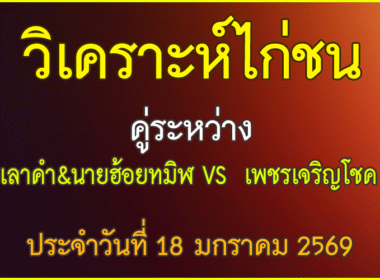 วิเคราะห์ไก่ชน คู่ระหว่าง เพชรเจริญโชค VS   เลาคำ&นายฮ้อยทมิฬ ประจำวันที่ 18 มกราคม 2569